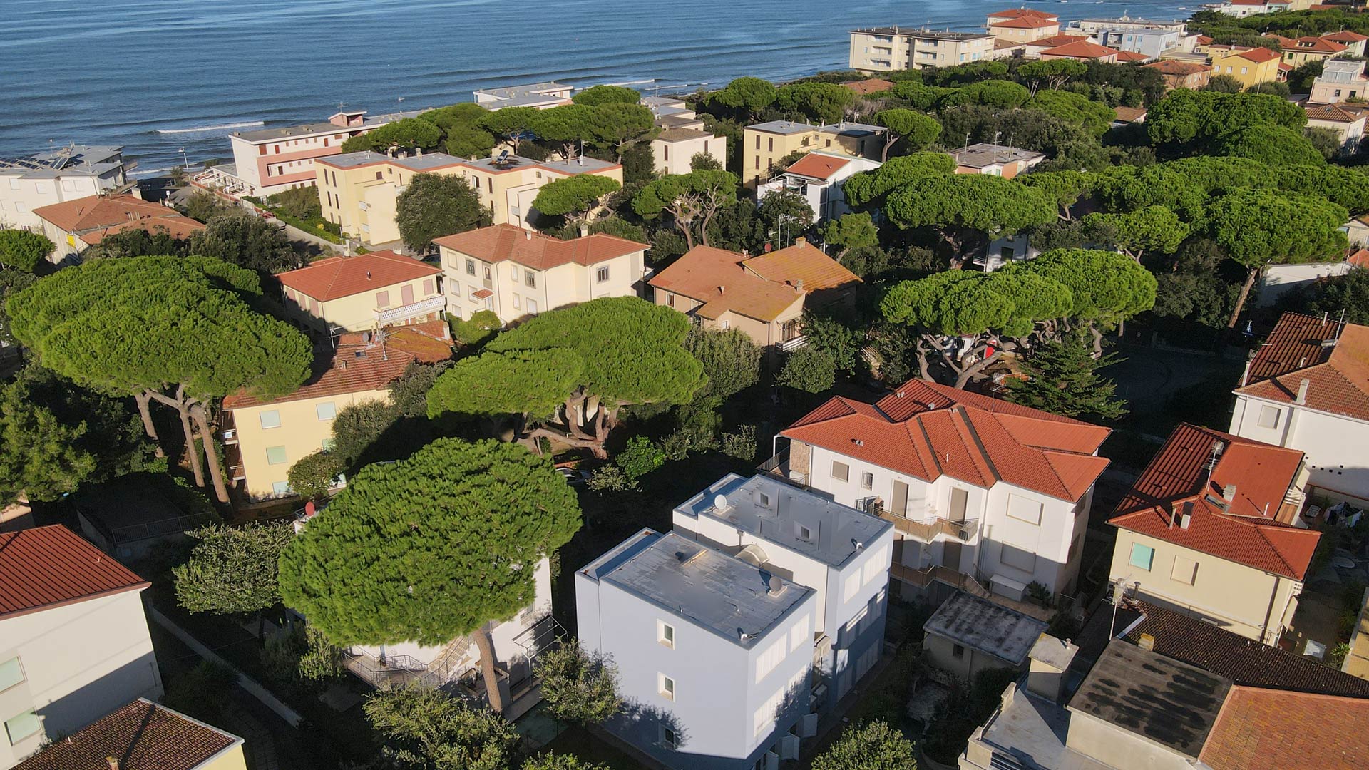 lastruttura-leduepalme